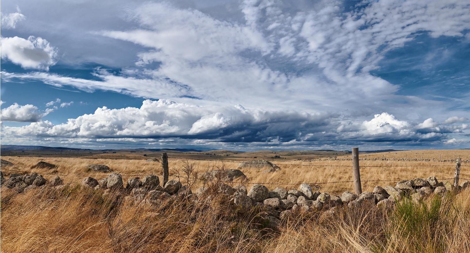 Aubrac fall season, France
