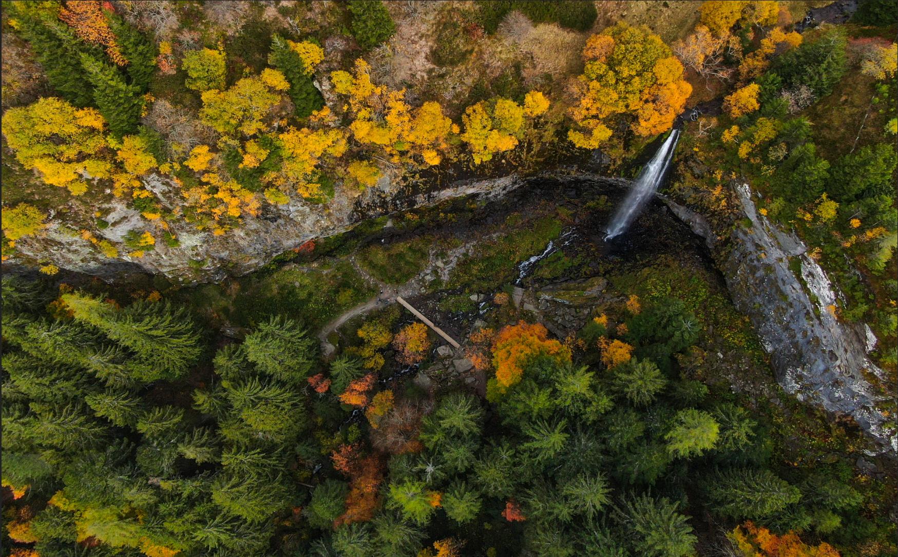 Autumn From Above, France