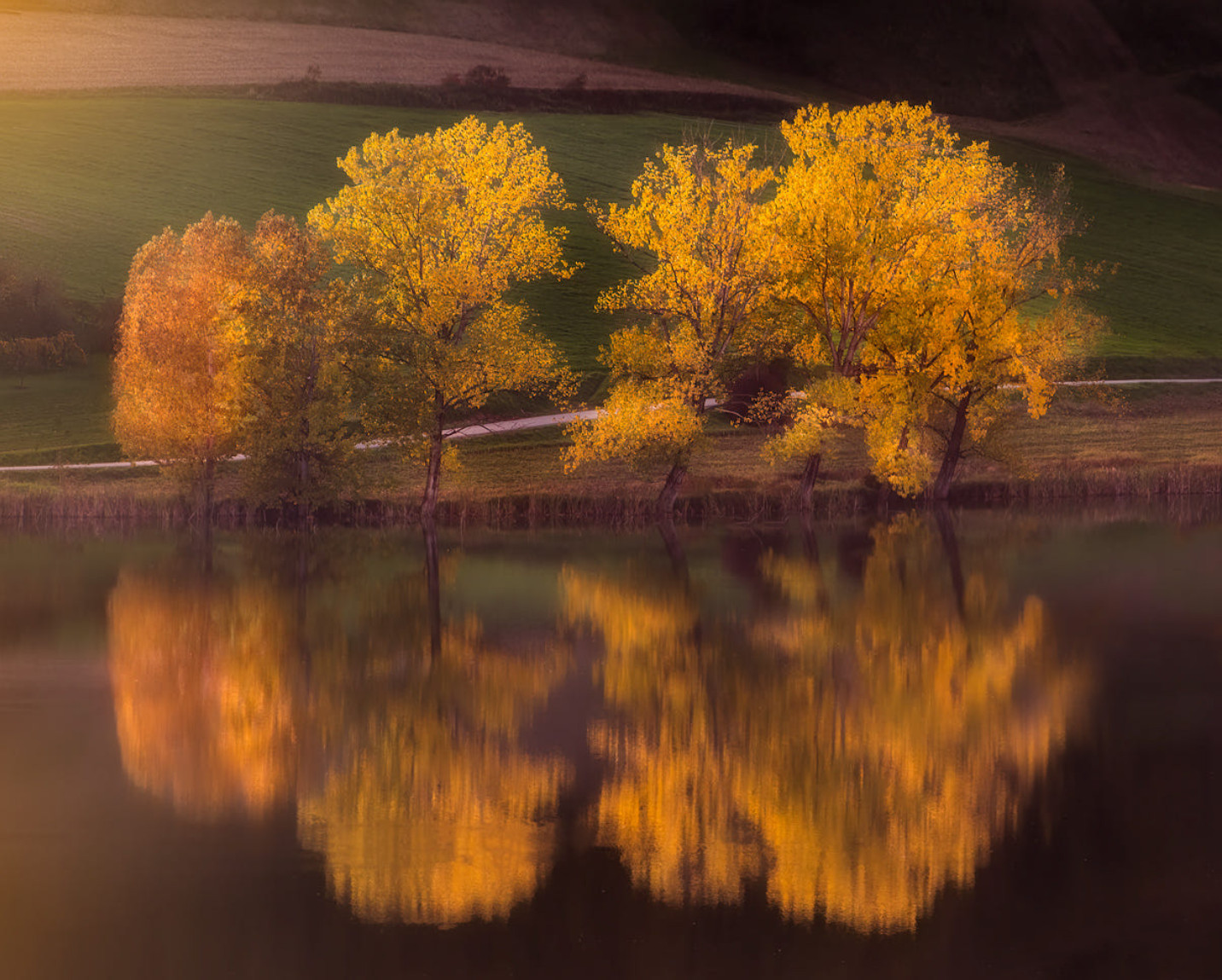 Autumn reflection VII