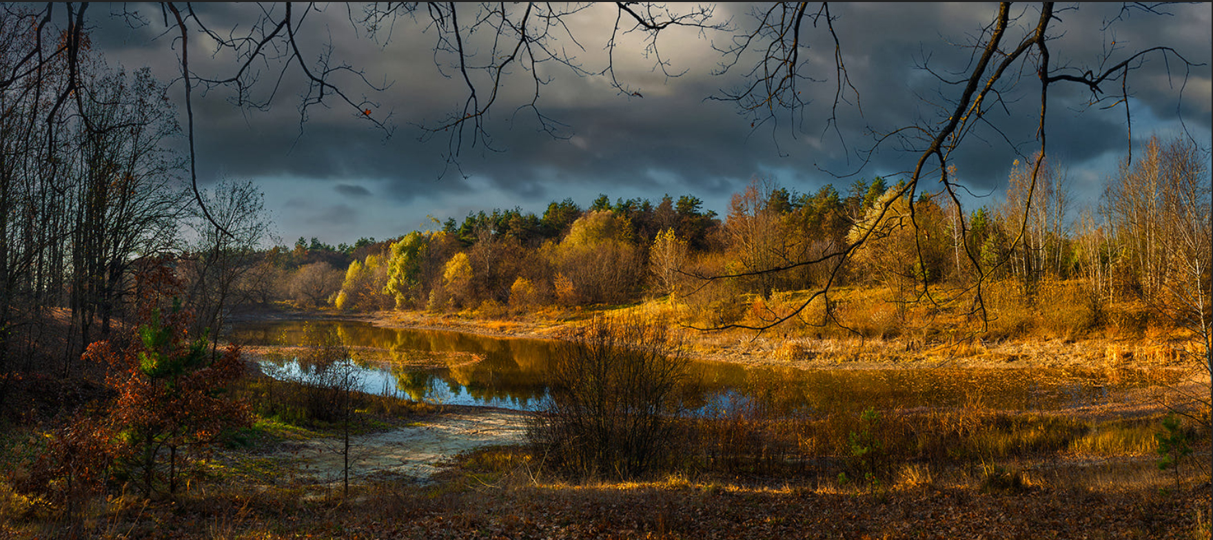 Autumn reflections IV