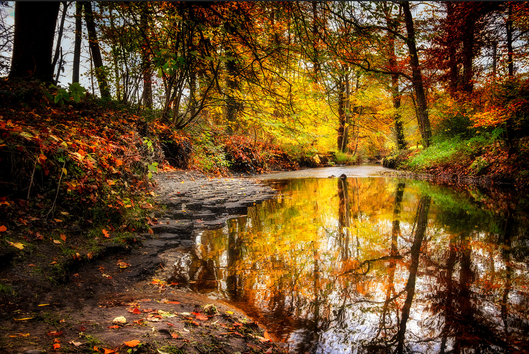 Beauty of the fall season