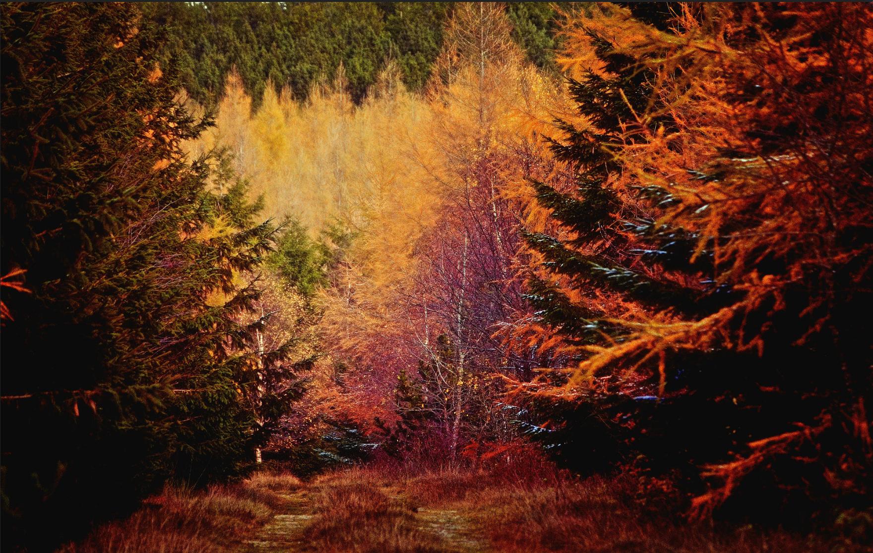 Col de la Croix de Bor, France