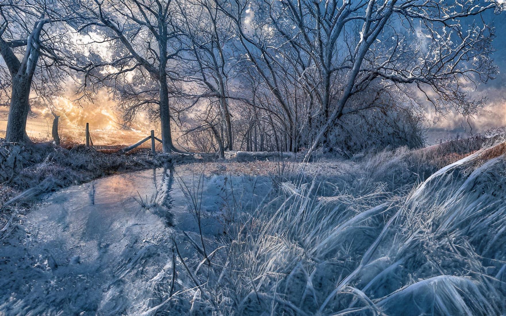 Frosty morning sunrise