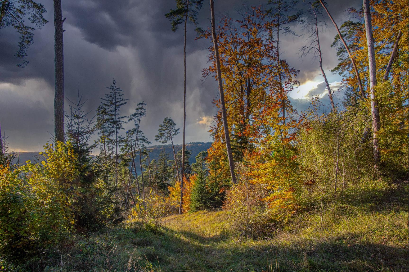 Weather change, Germany