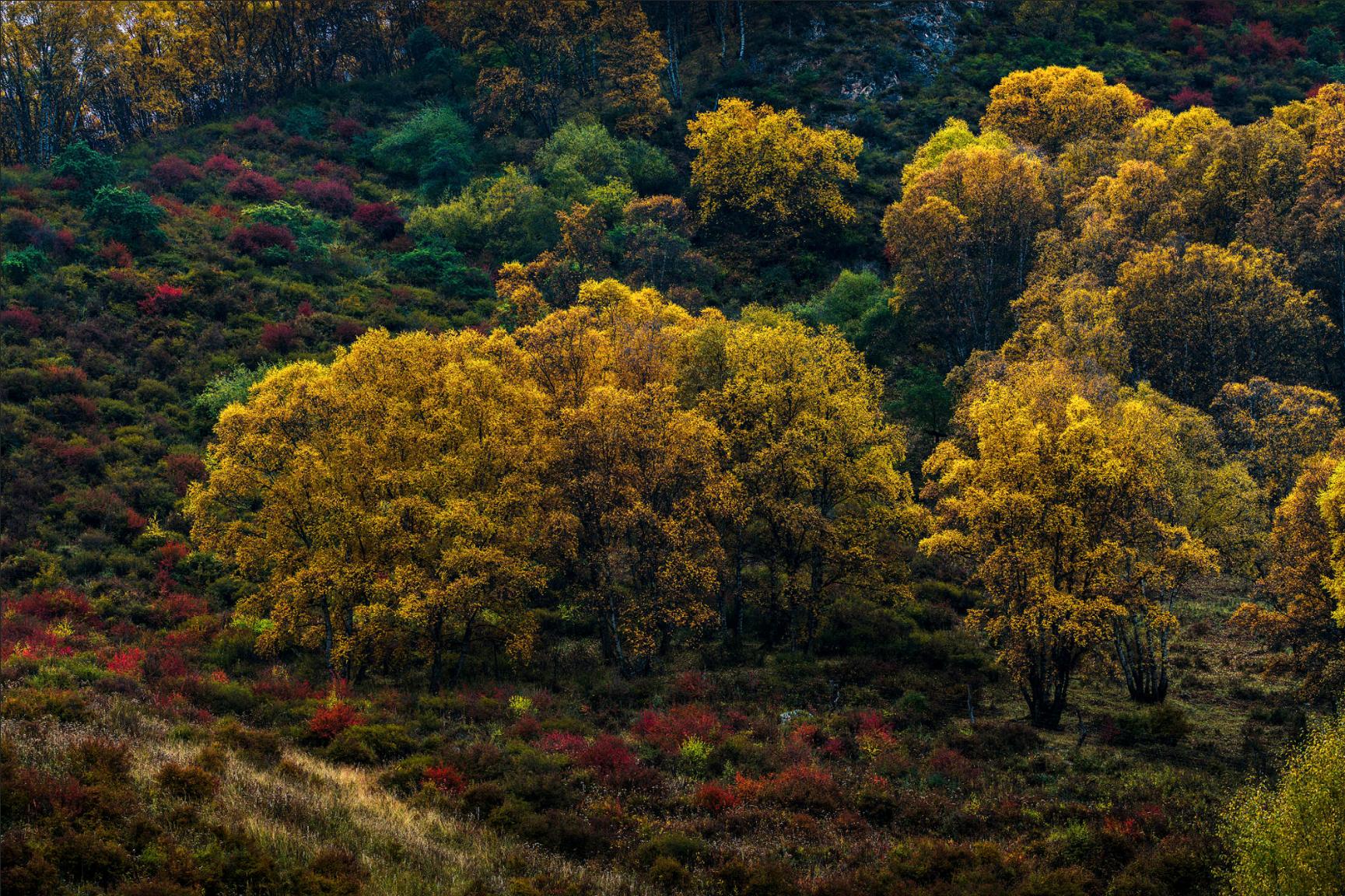 gorgeous autumn colors