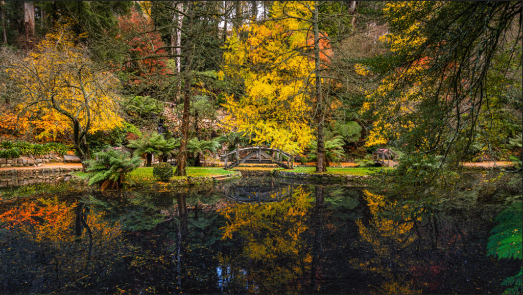 Autumn Reflection XVII