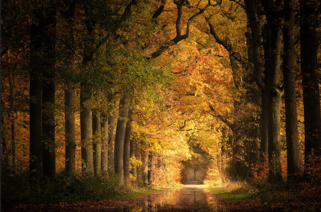 Best Light of the Day