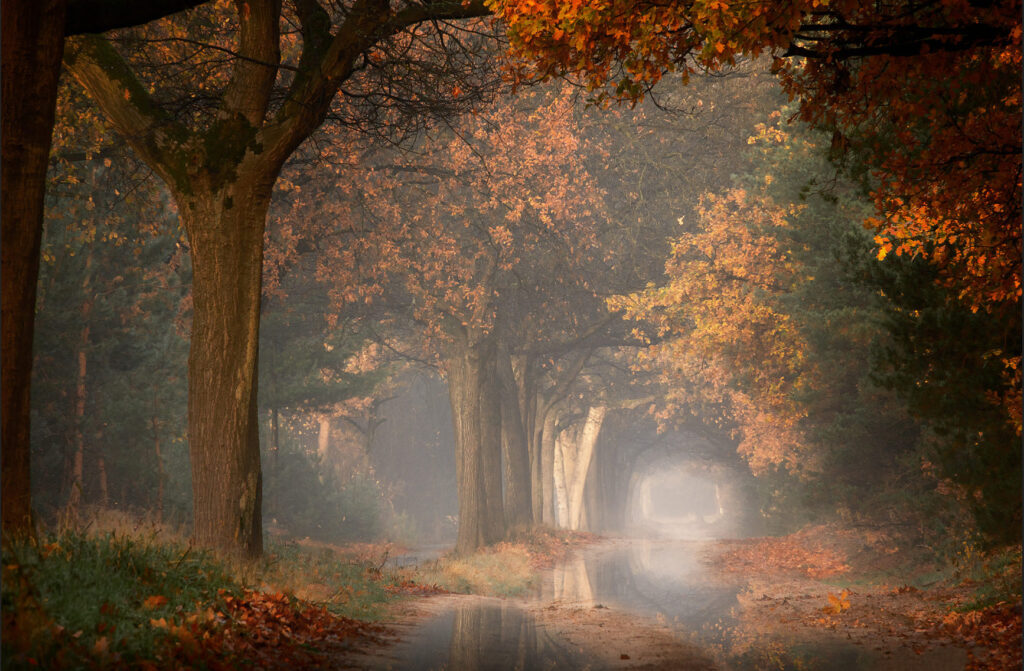 Colors in the Morning