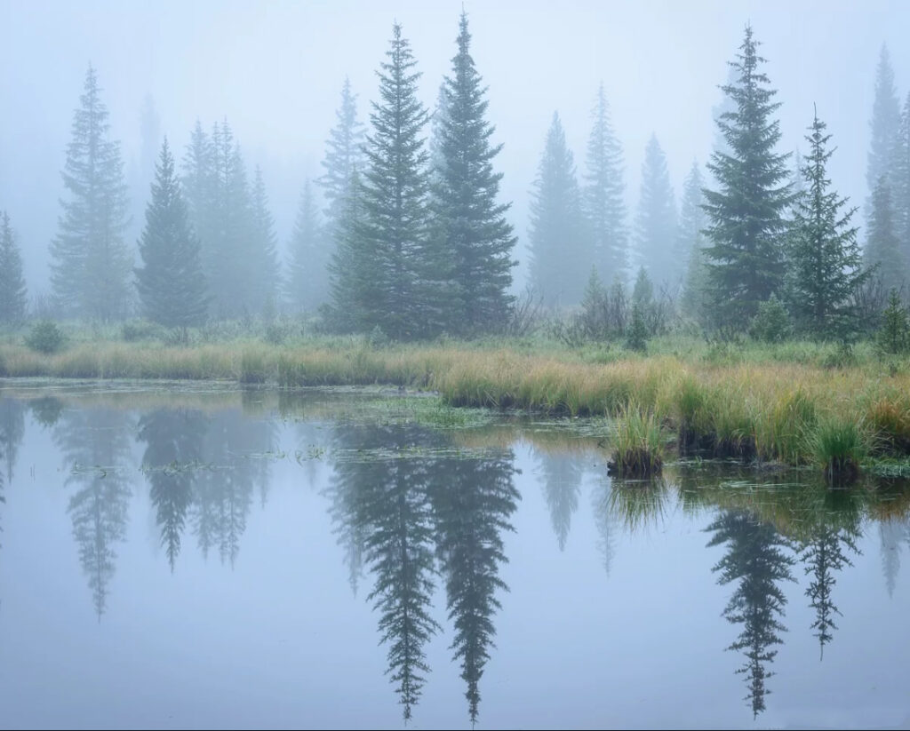 Kawuneeche Valley, Rocky Mountain NP