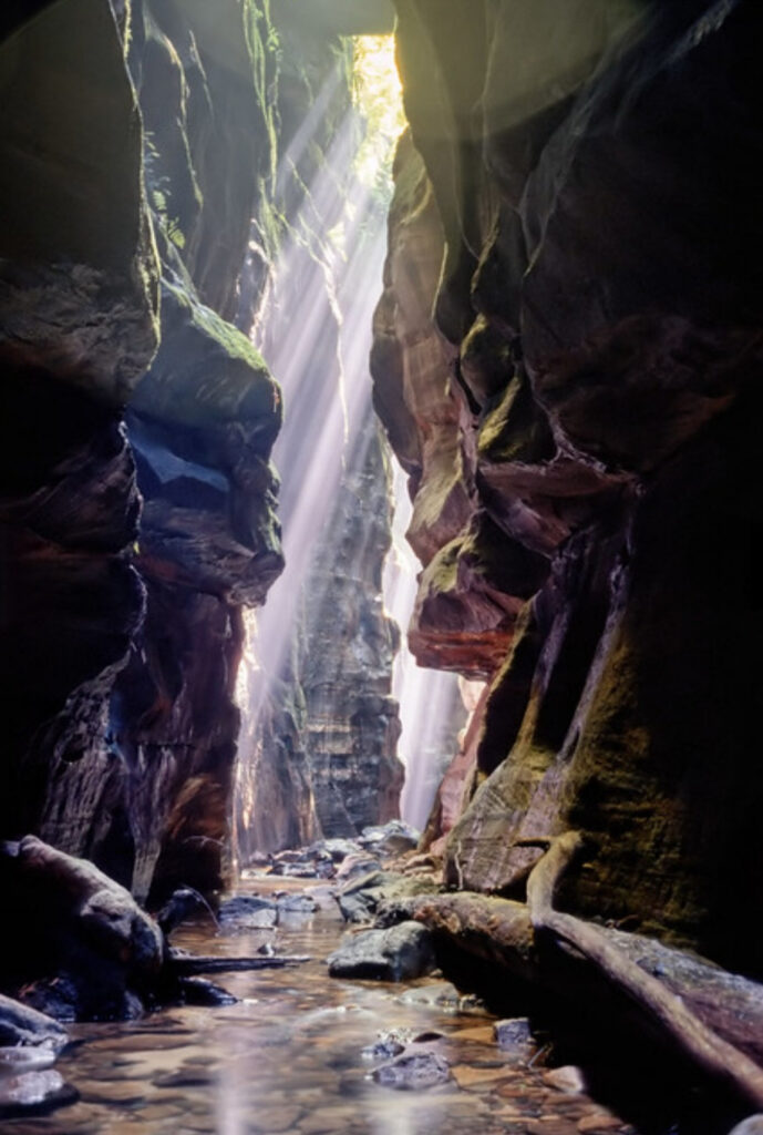 Claustral Canyon, Blue Mountains, NSW, Australia