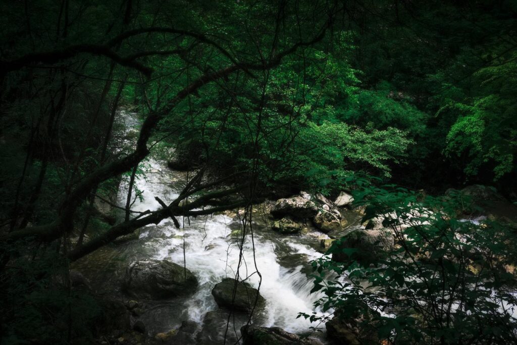Qingliang Stream