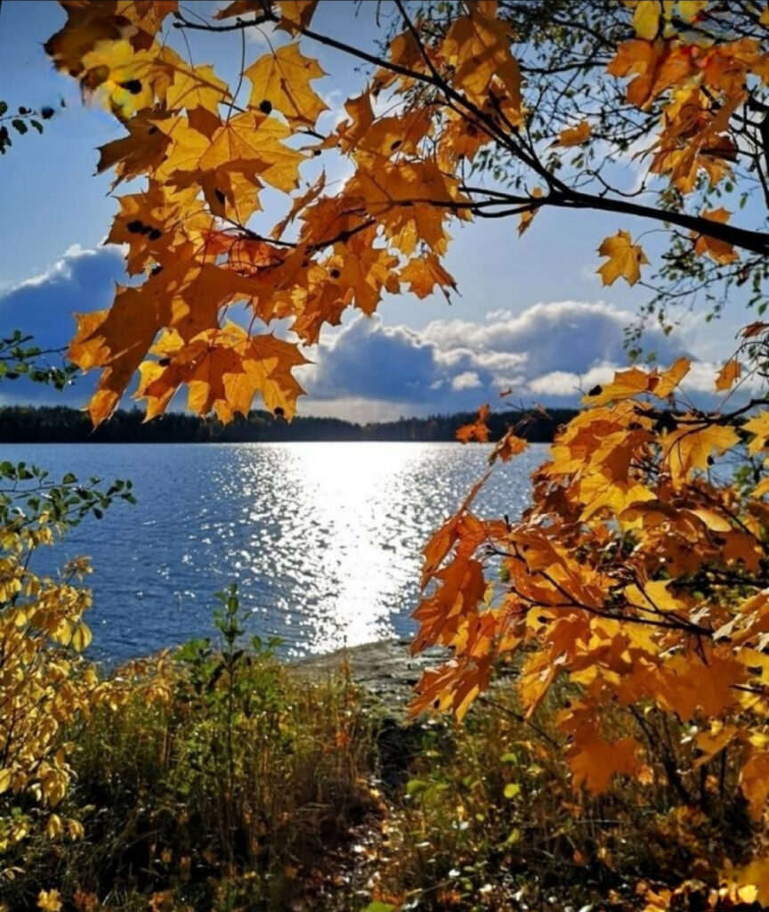 Autumn over the River