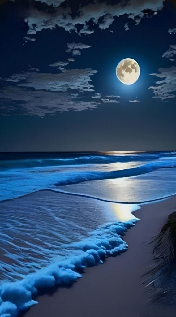 Blue Moon Beach